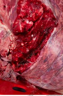 RAW meat pork 0264